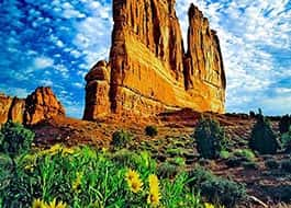 Moab Arches National Park Organ