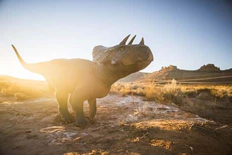 Moab Giants Outside Triceratops