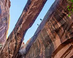 Canyoneering in Moab