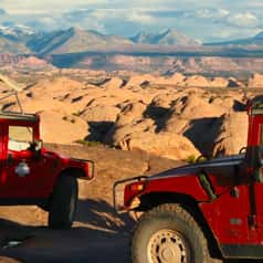 Hummers playing on the Sand Flats Recreation area