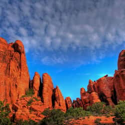 Moab Arches National Park Fins