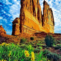 Moab Arches National Park Organ