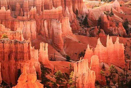 Utah National Parks Bryce