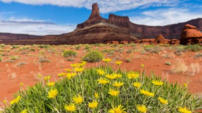 Arches National Park Spring