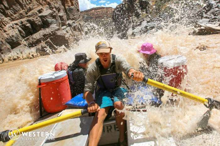 Westwater Canyon Rafting Guide Pov 1